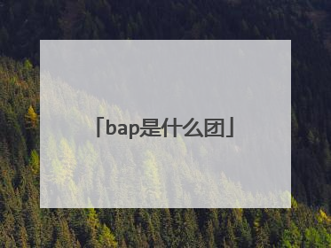 bap是什么团