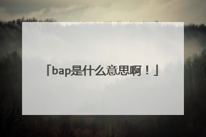 bap是什么意思啊！