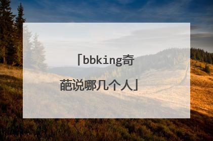 bbking奇葩说哪几个人
