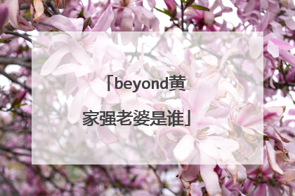 beyond黄家强老婆是谁