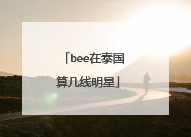 bee在泰国算几线明星