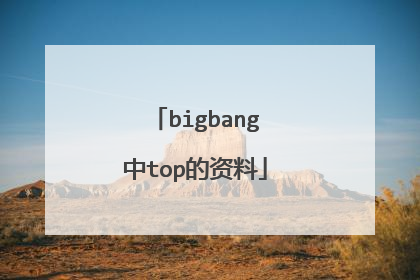 bigbang中top的资料