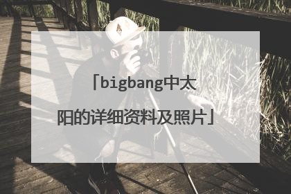 bigbang中太阳的详细资料及照片