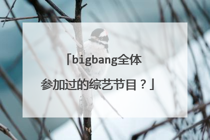 bigbang全体参加过的综艺节目？