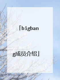 bigbang成员介绍