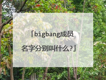 bigbang成员名字分别叫什么?