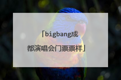 bigbang成都演唱会门票票样