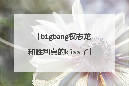 bigbang权志龙和胜利真的kiss了