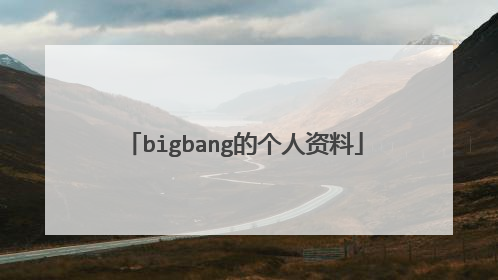 bigbang的个人资料