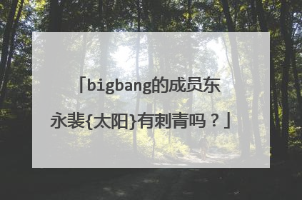 bigbang的成员东永裴{太阳}有刺青吗？