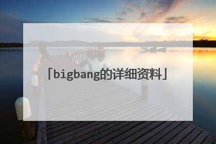 bigbang的详细资料