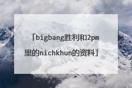 bigbang胜利和2pm里的nichkhun的资料