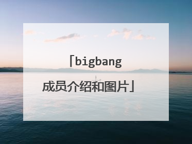bigbang成员介绍和图片