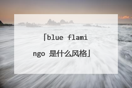 blue flamingo 是什么风格