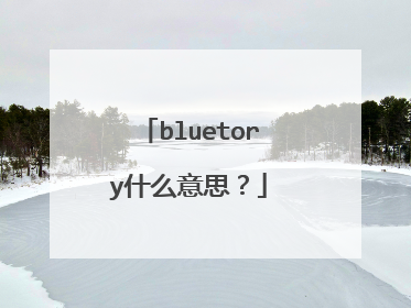 bluetory什么意思?