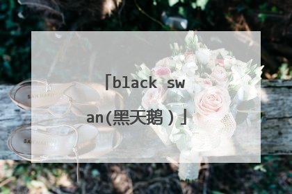 black swan(黑天鹅)