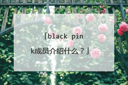 black pink成员介绍什么？