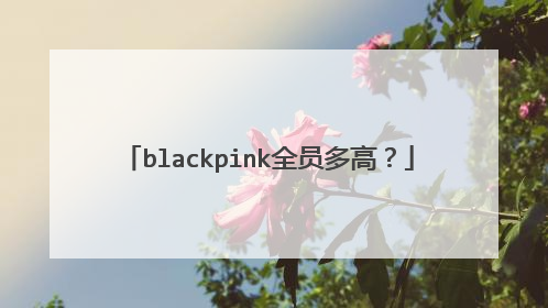 blackpink全员多高?