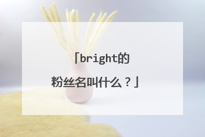 bright的粉丝名叫什么?