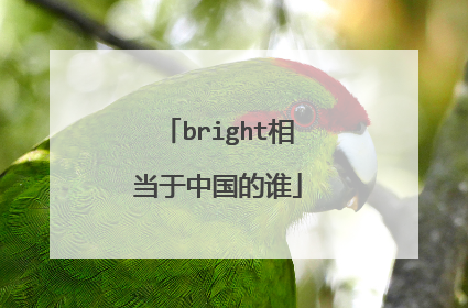 bright相当于中国的谁