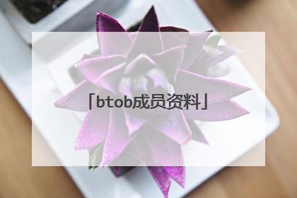 btob成员资料