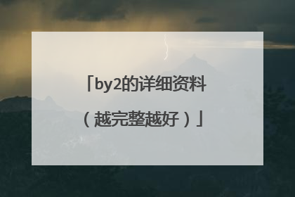 by2的详细资料（越完整越好）