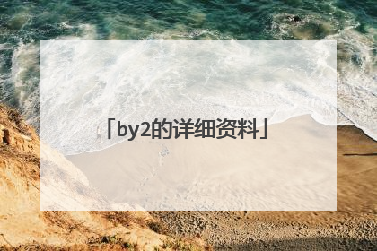 by2的详细资料