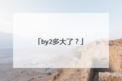 by2多大了?