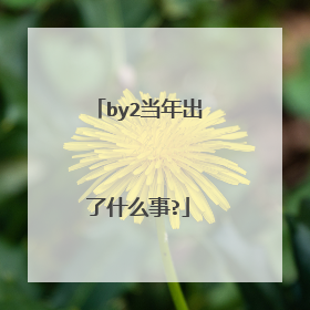 by2当年出了什么事?