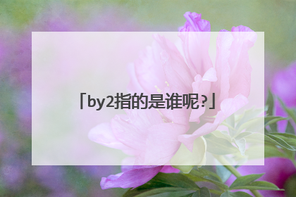 by2指的是谁呢?