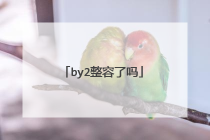 by2整容了吗