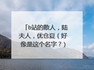 b站的散人,陆夫人,优仓夏(好像是这个名字?)谁能给我解释一下他们的(传奇)故事。。)