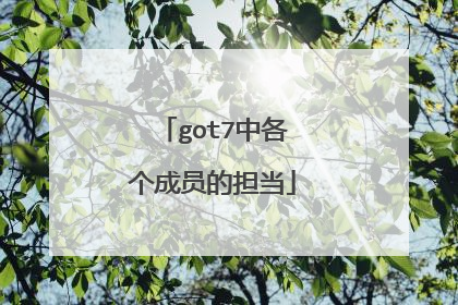 got7中各个成员的担当