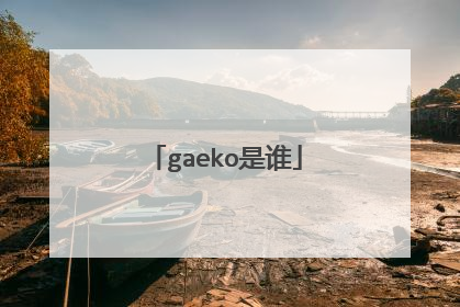 gaeko是谁