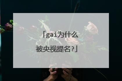 gai为什么被央视提名?