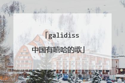 galidiss中国有嘻哈的歌