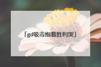 gd吸毒抱着胜利哭