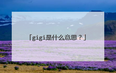 gigi是什么意思？
