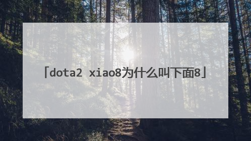 dota2 xiao8为什么叫下面8