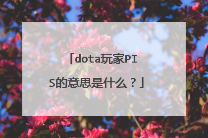 dota玩家PIS的意思是什么?