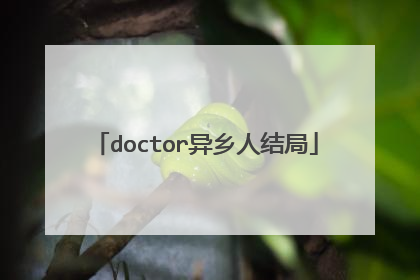 doctor异乡人结局