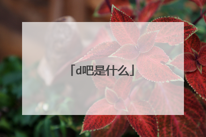 d吧是什么