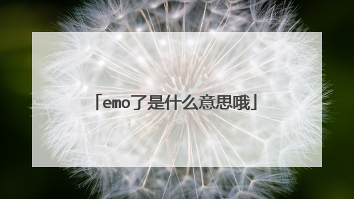 emo了是什么意思哦