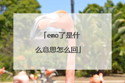 emo了是什么意思怎么回