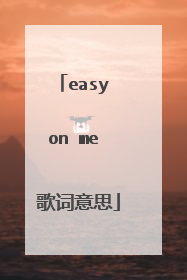 easy on me 歌词意思