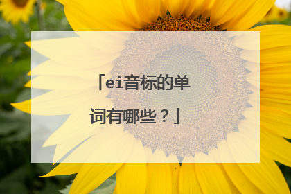 ei音标的单词有哪些？