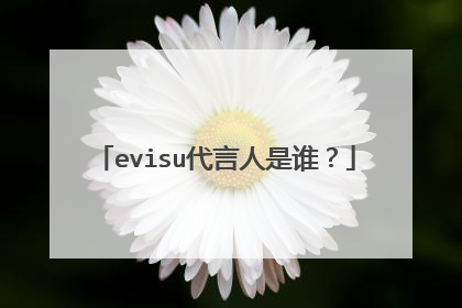 evisu代言人是谁？