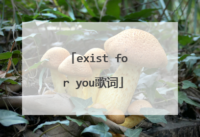 exist for you歌词