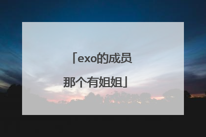 exo的成员那个有姐姐