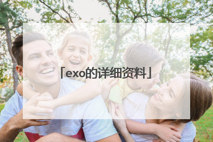 exo的详细资料